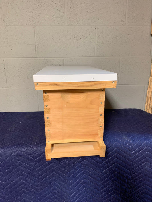 NUC Body Combos - 4K Beez