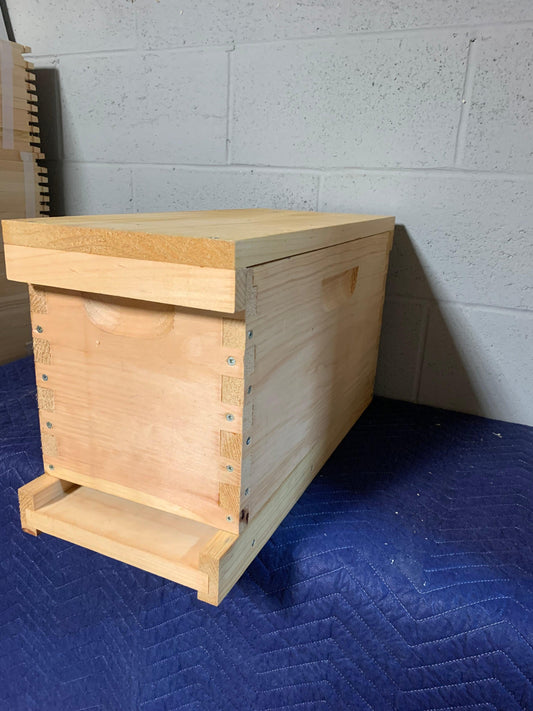 Migratory Cover - 4K Beez